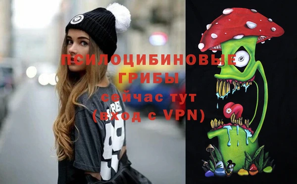 метадон Михайлов